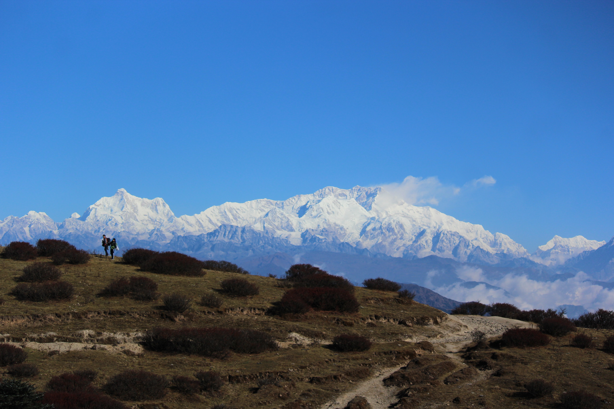 Sandakphu Short Trek image 7