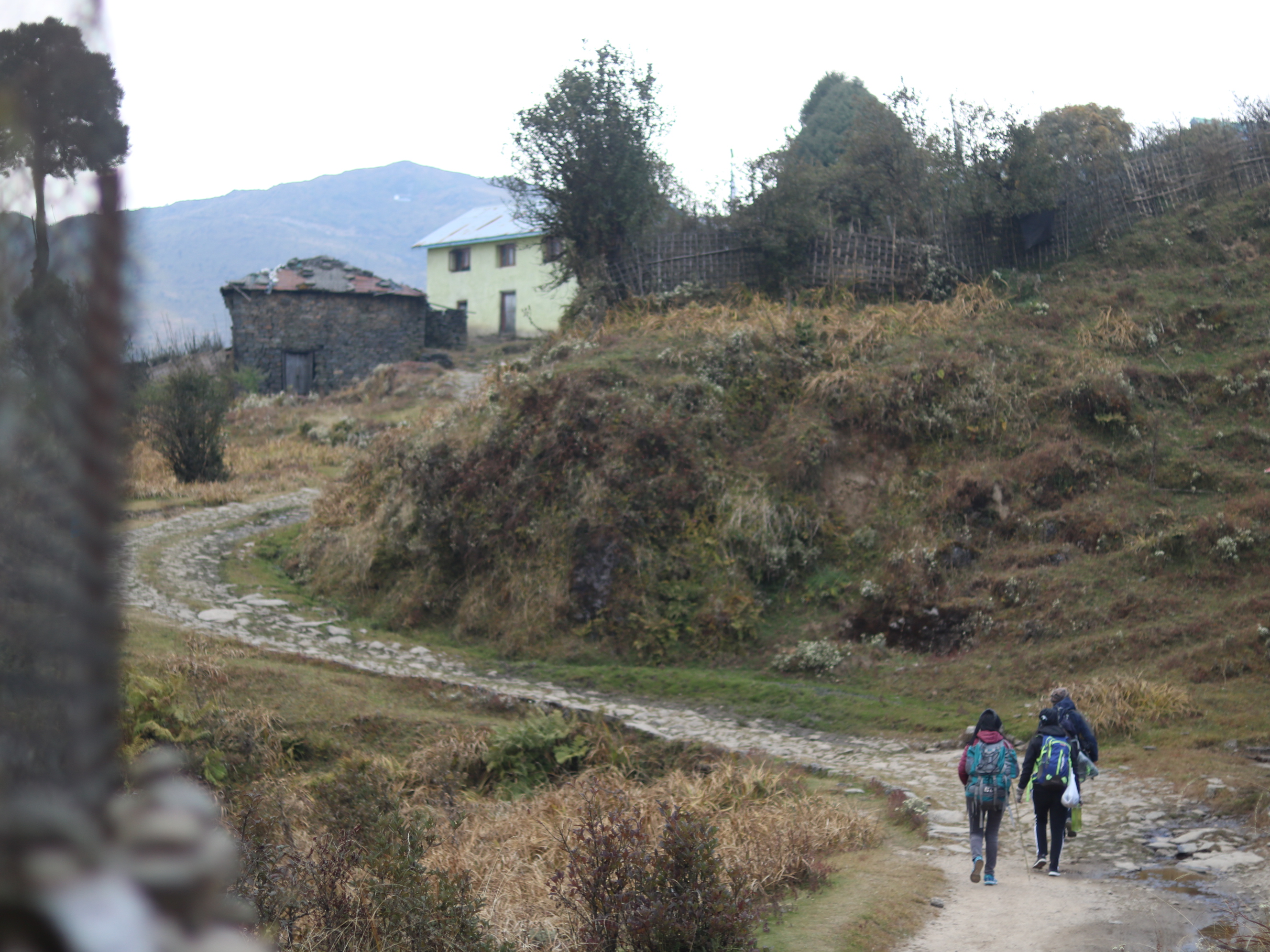 Sandakphu Short Trek image 1