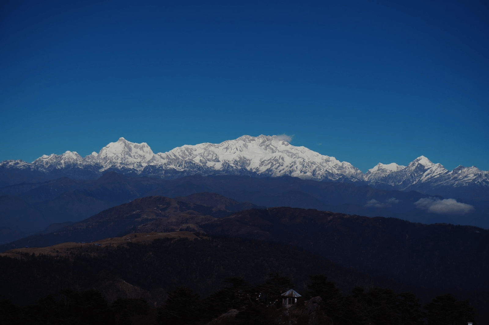 Singalila National Park Trek image 7