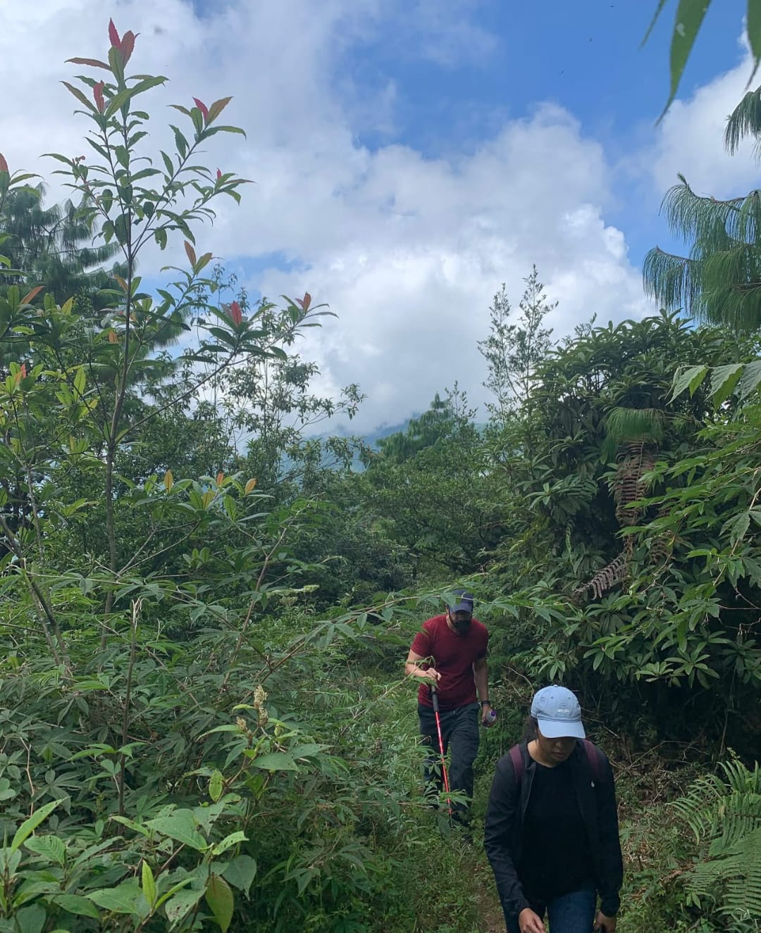Tiger Hill Hike image 1