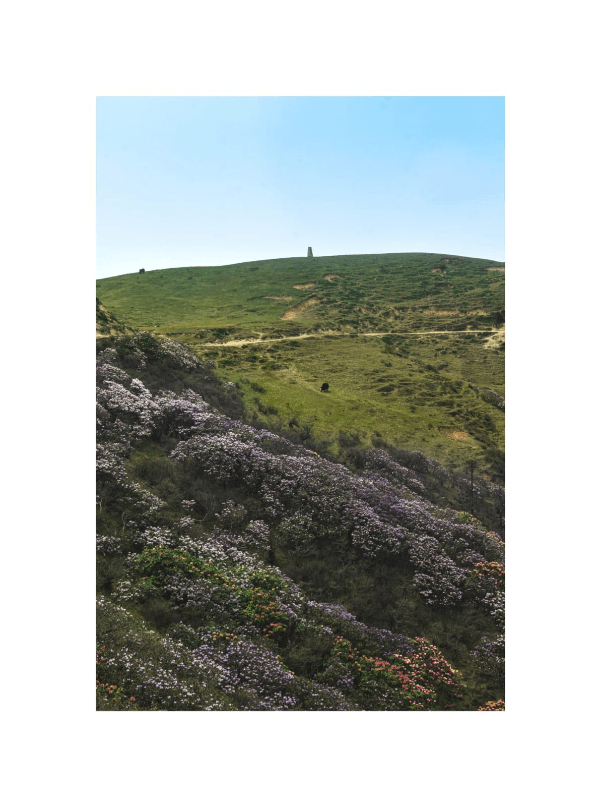 Singalila National Park Trek image 3