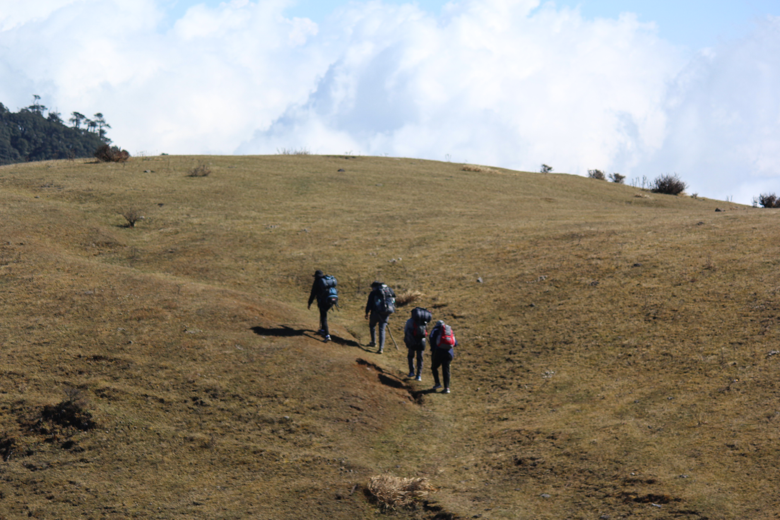 Sandakphu Short Trek image 5