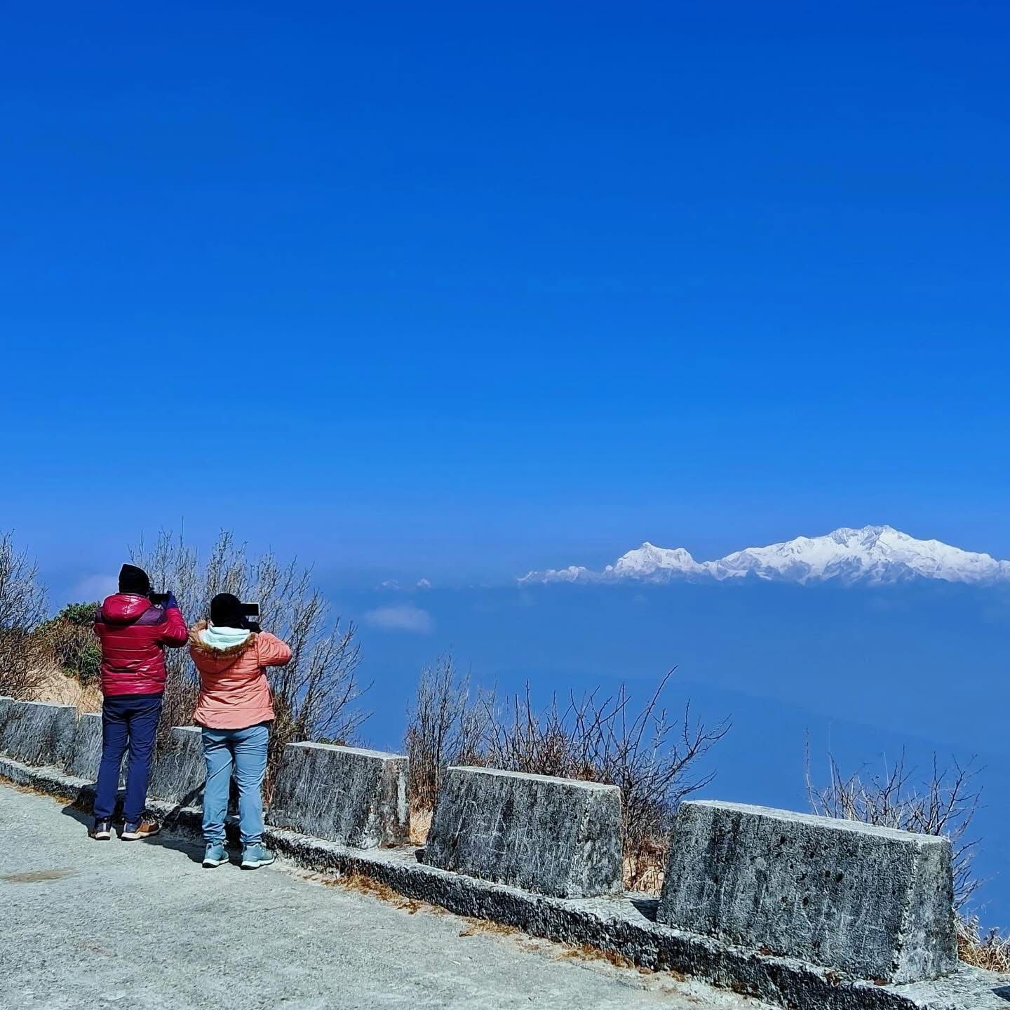 Day Trip to Sandakphu image 5