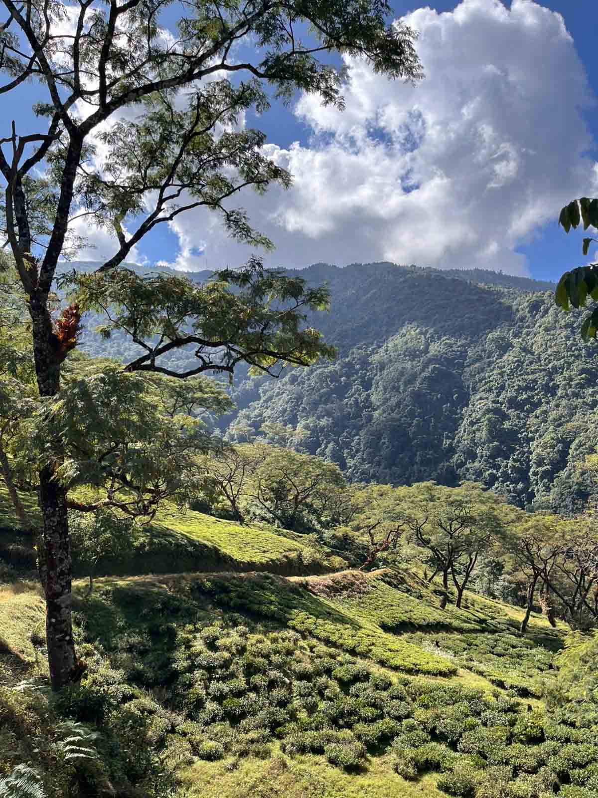 Tenzing Norgay Trail image 1