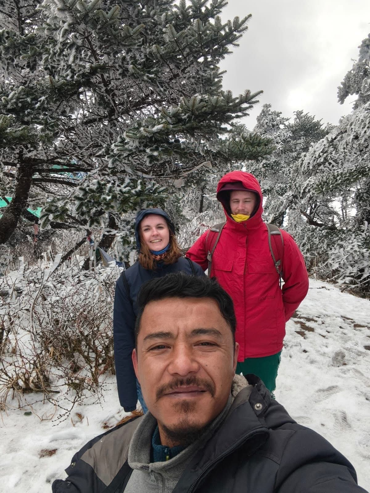 Day Trip to Sandakphu image 4