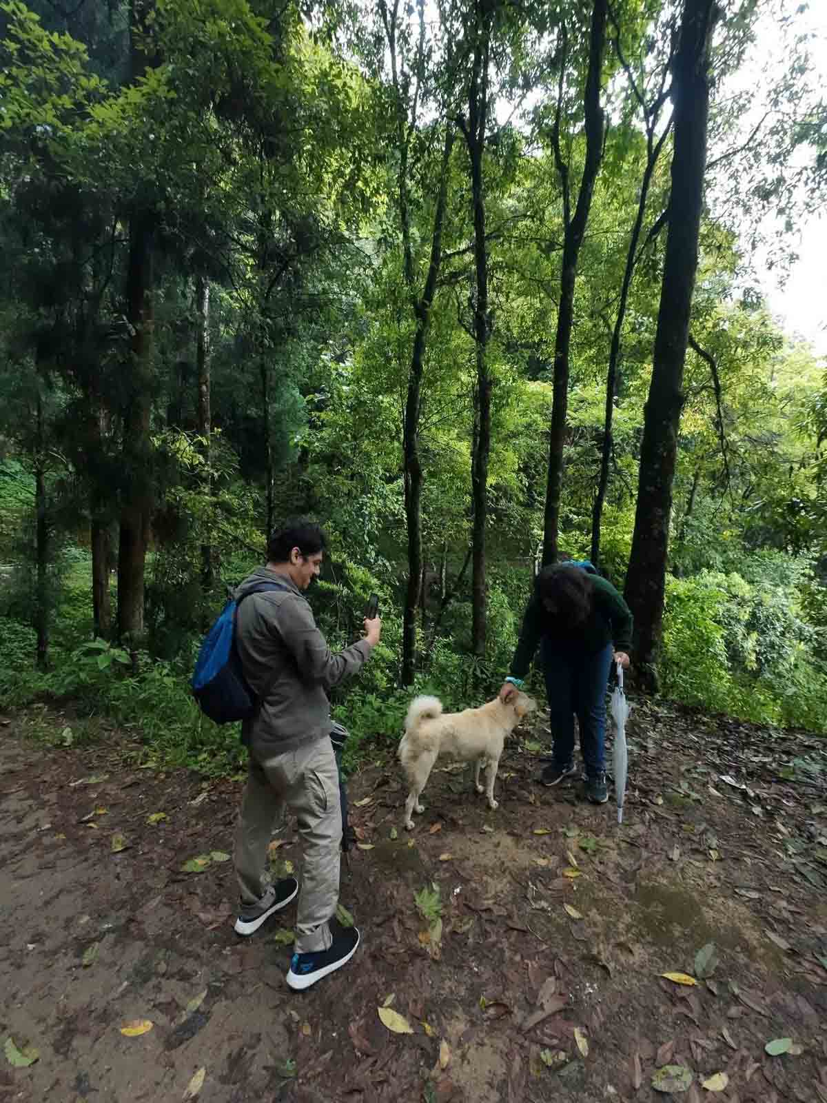 Love Road Walk image 1
