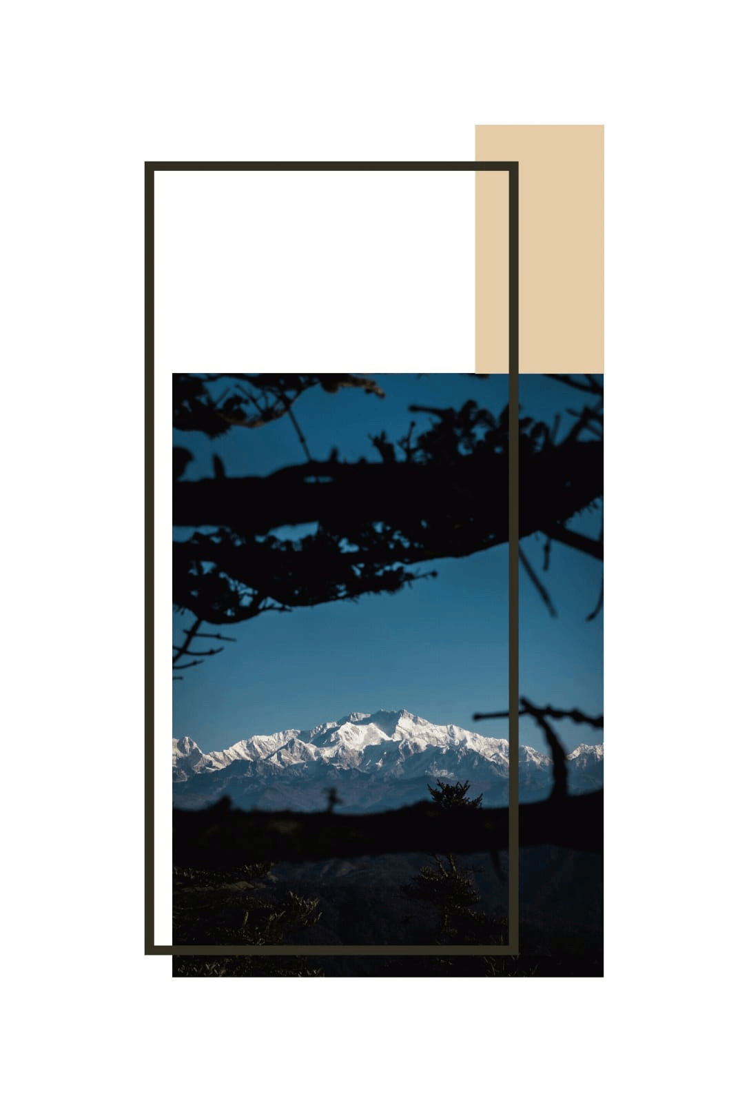 Singalila National Park Trek image 5