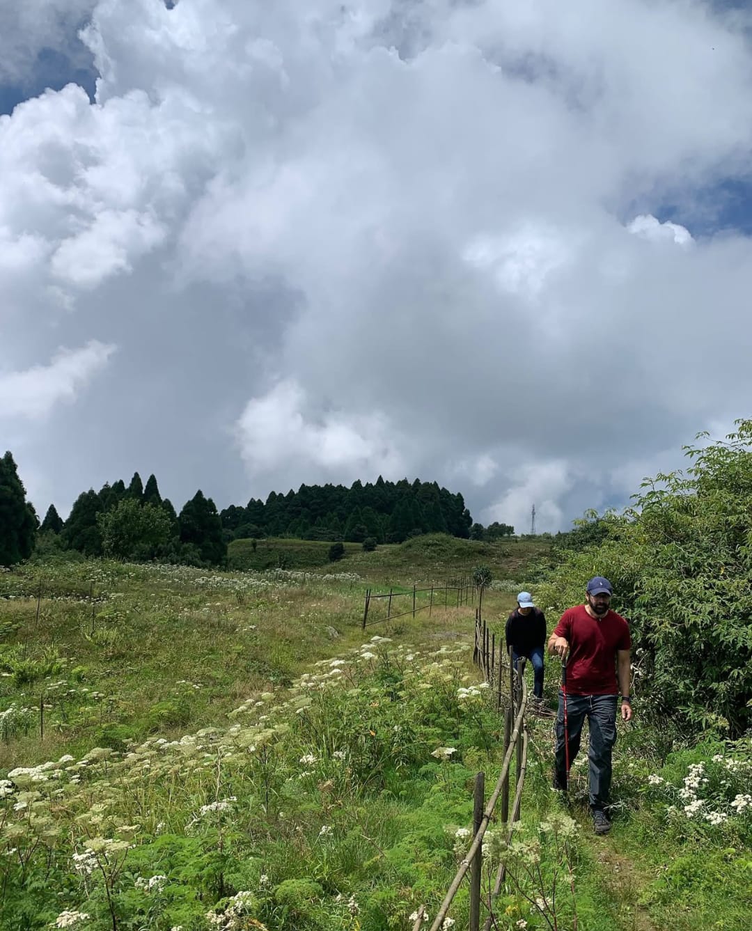 Tiger Hill Hike image 6