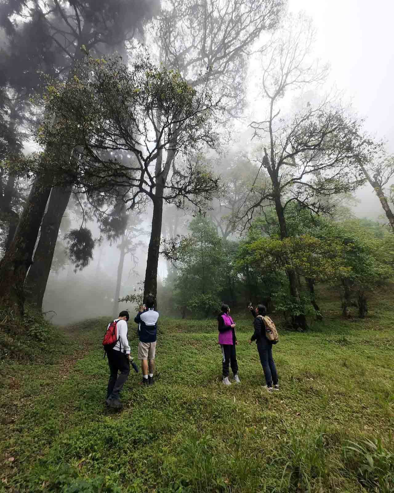 Lamahatta–Takdah Hike image 1