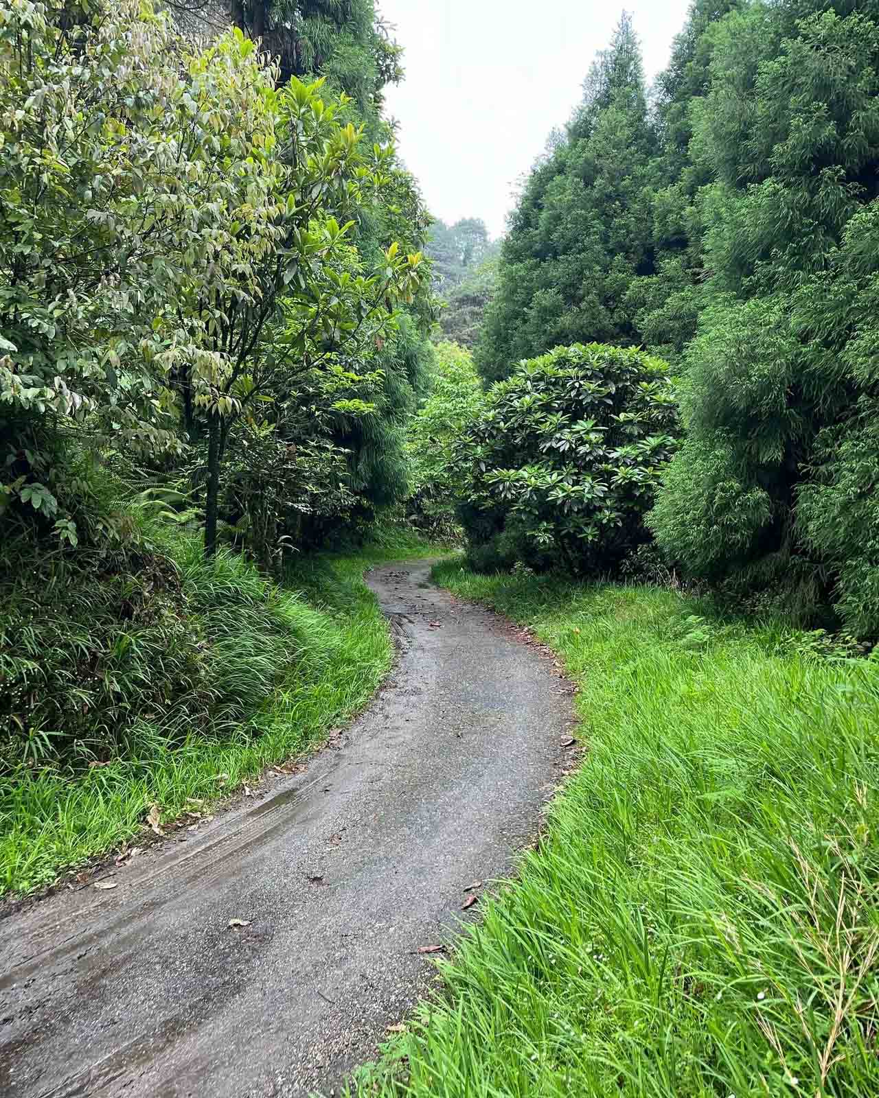 Old Military Road image 1