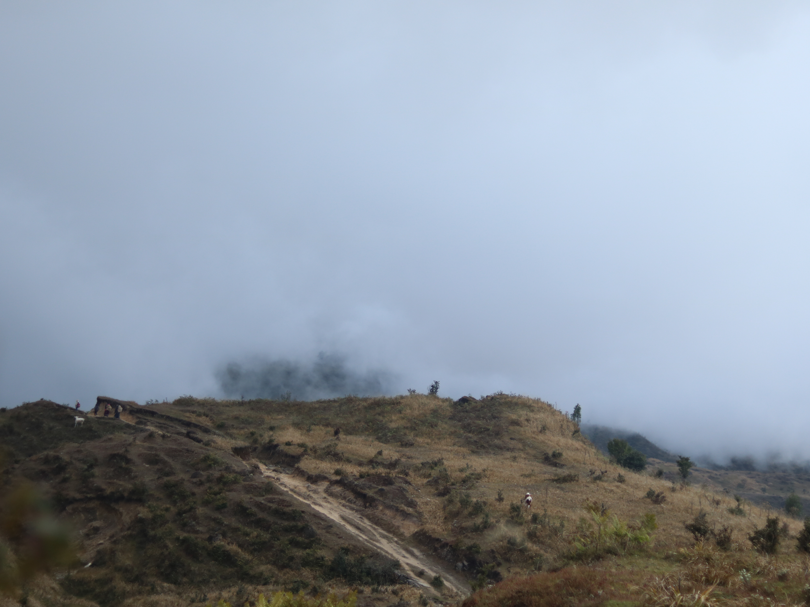 Sandakphu Short Trek image 4